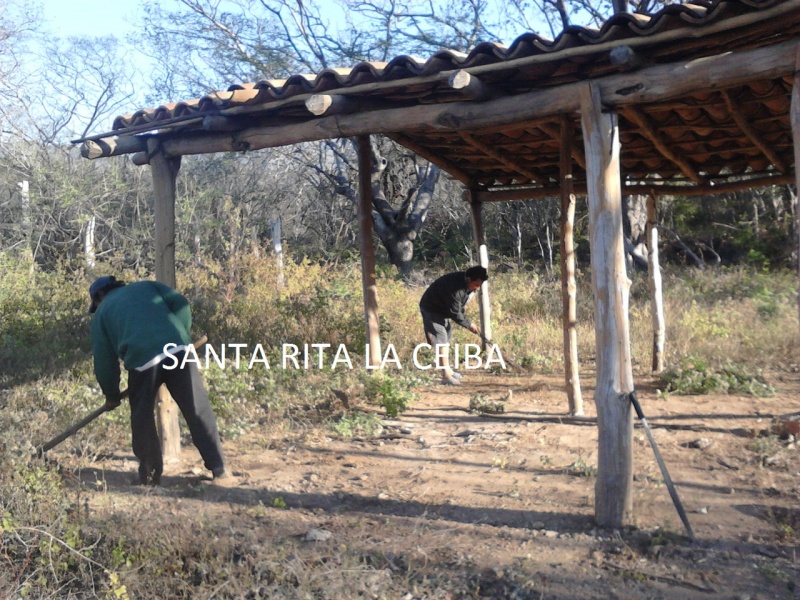 Mejoras Continuas en la Comunidad
